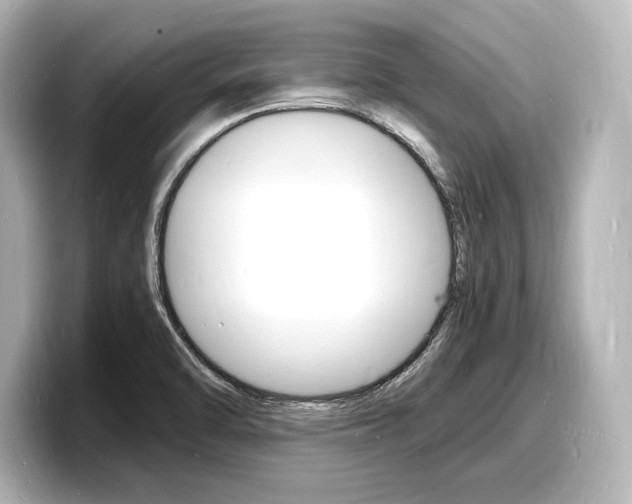 X0000098181470200804241020