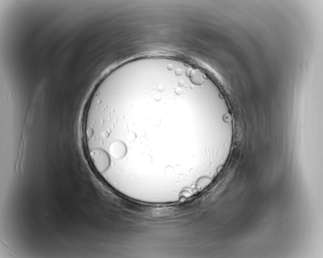 X0000098181471200804241020