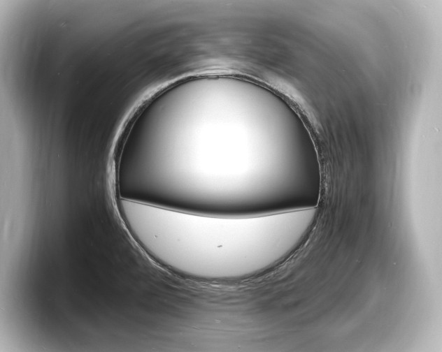 X0000098181472200804241020