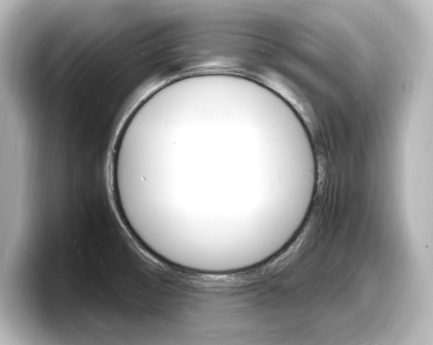 X0000098181474200804241020