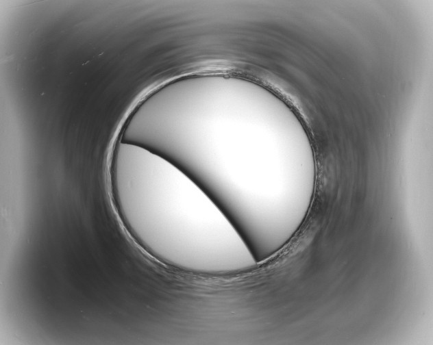 X0000098181475200804241020