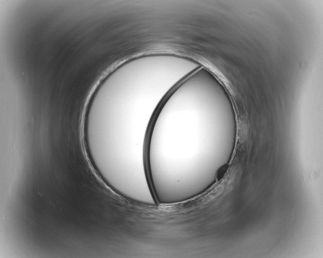 X0000098181477200804241020