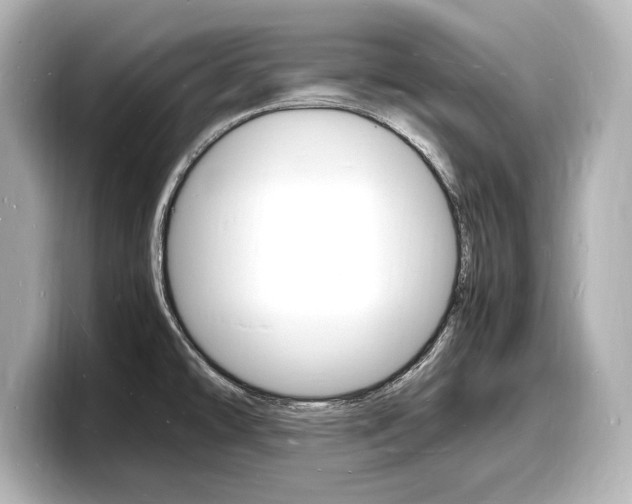 X0000098181478200804241020