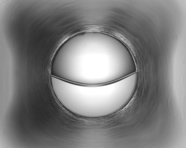 X0000098181481200804241020