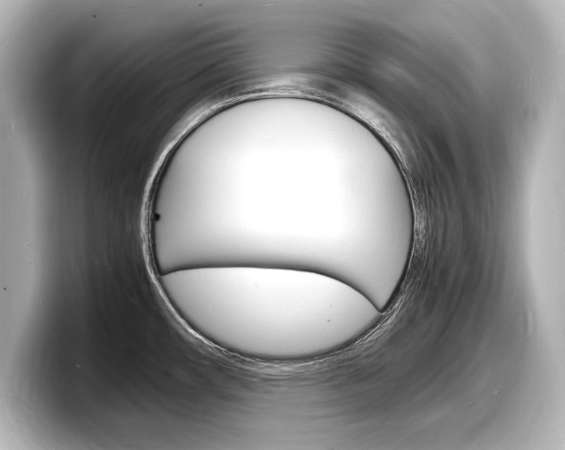X0000098181482200804241020