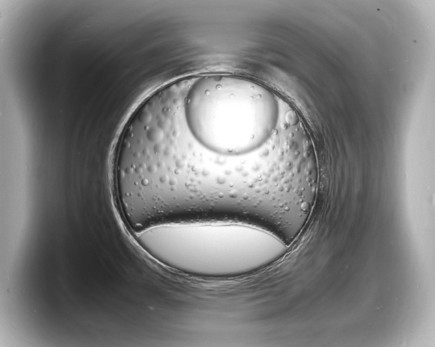 X0000098181483200804241020