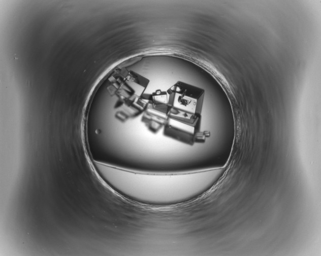 X0000098181484200804241020