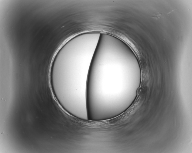 X0000098181485200804241020