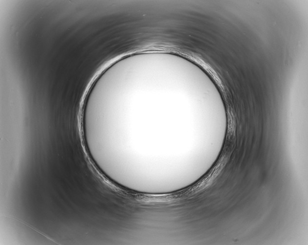 X0000098181486200804241020