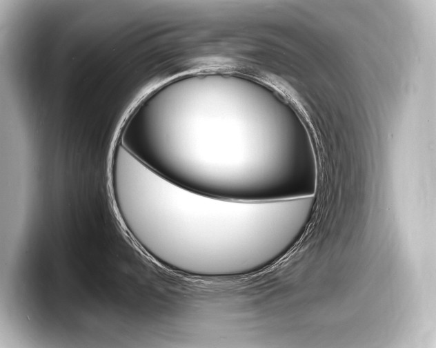 X0000098181488200804241020