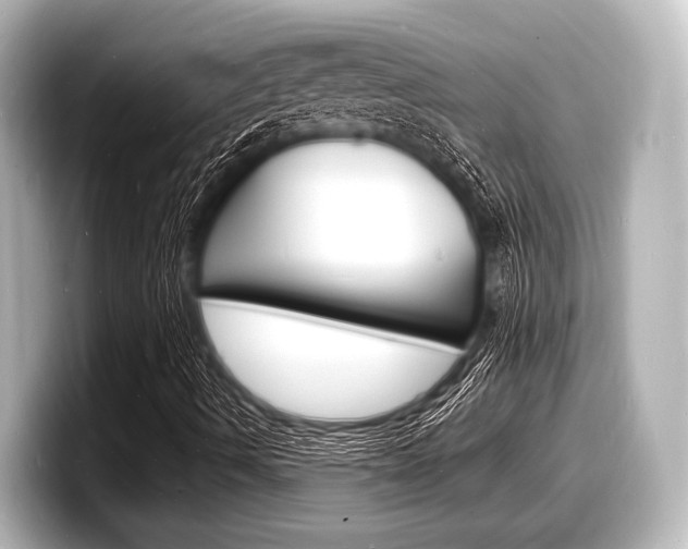 X0000098181490200804241019