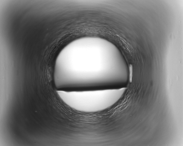 X0000098181491200804241019