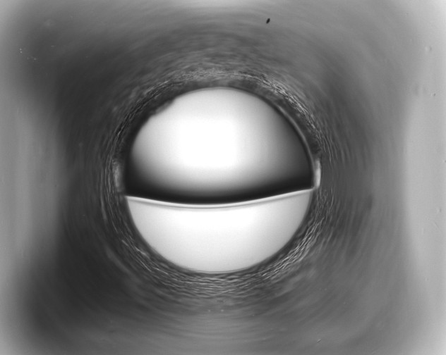 X0000098181492200804241019