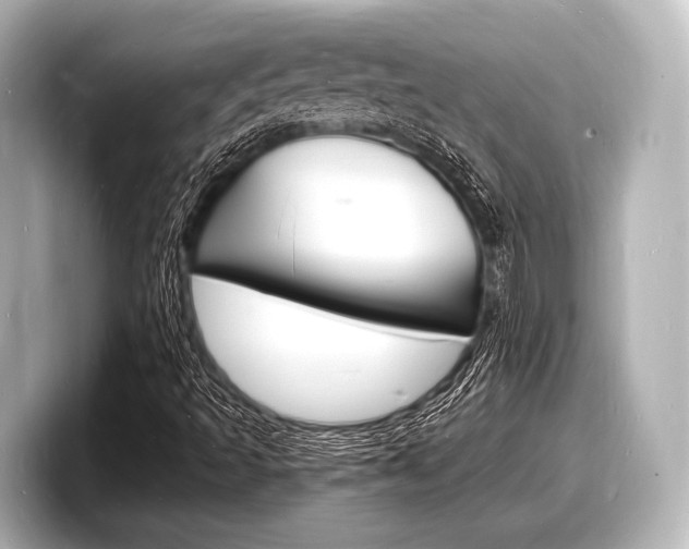 X0000098181493200804241019