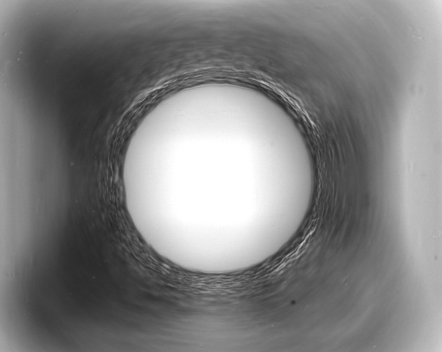 X0000098181494200804241019