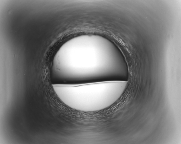 X0000098181495200804241019