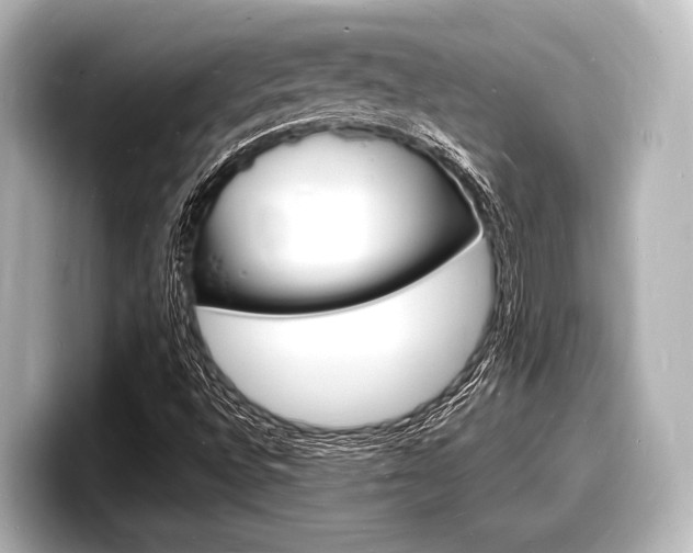 X0000098181496200804241019