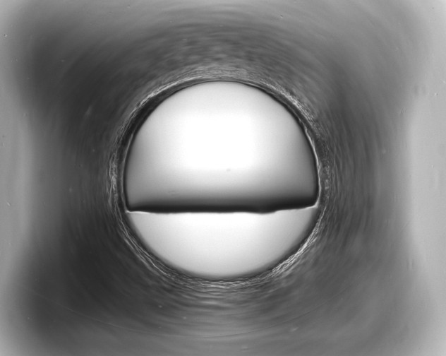 X0000098181499200804241019
