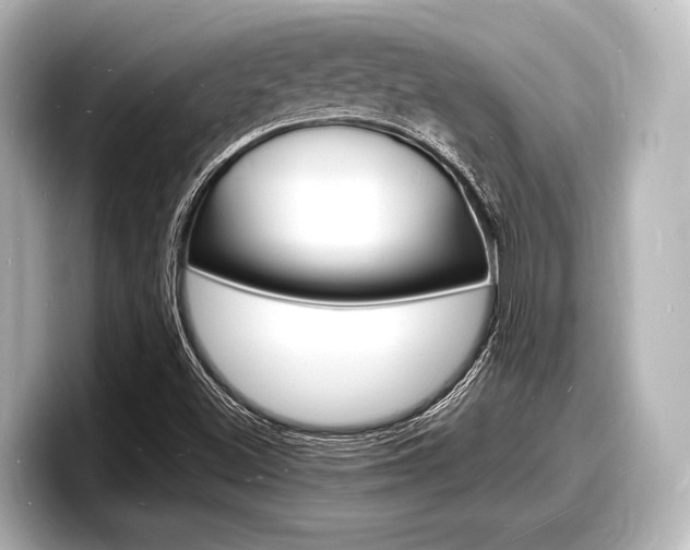 X0000098181500200804241019