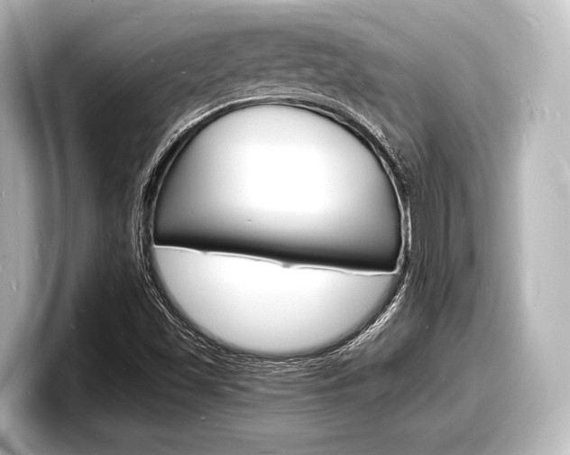 X0000098181501200804241019