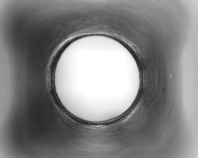 X0000098181502200804241019