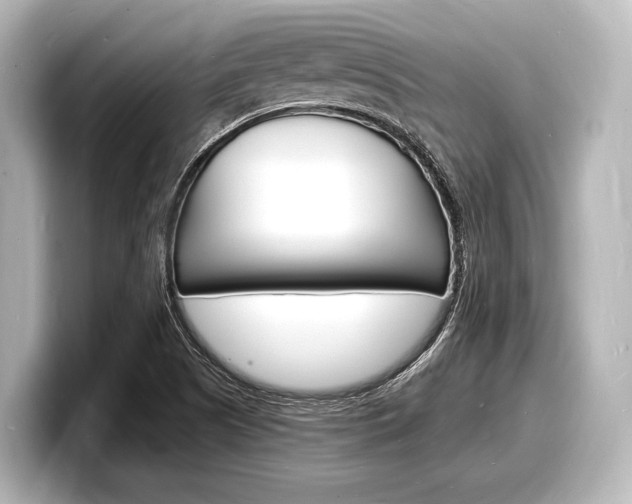 X0000098181505200804241019