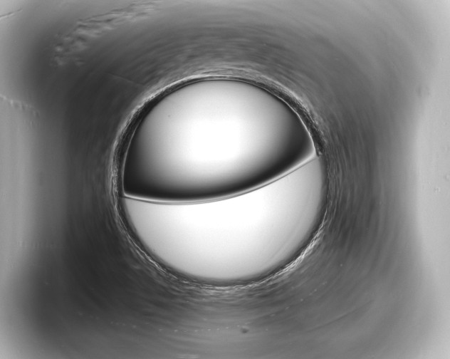 X0000098181506200804241019