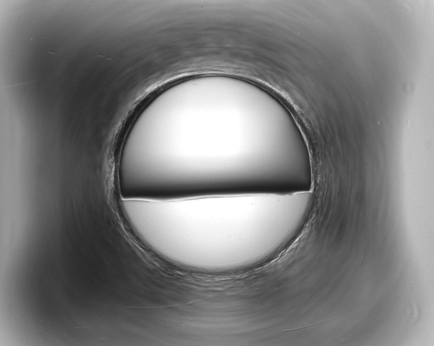 X0000098181507200804241019