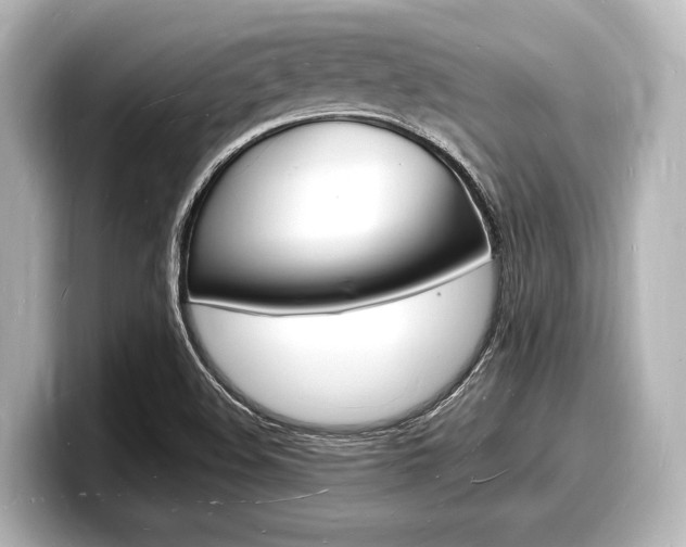 X0000098181508200804241019