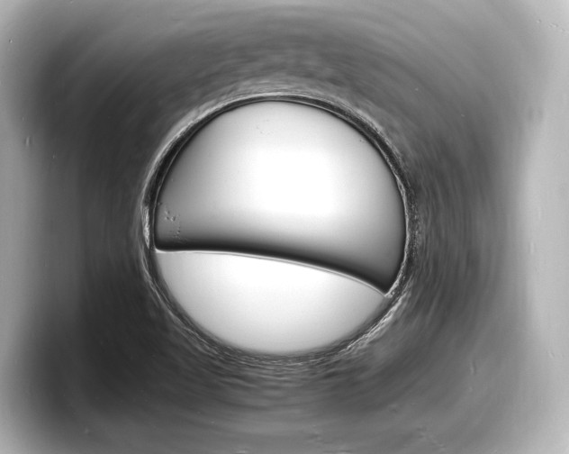 X0000098181509200804241019