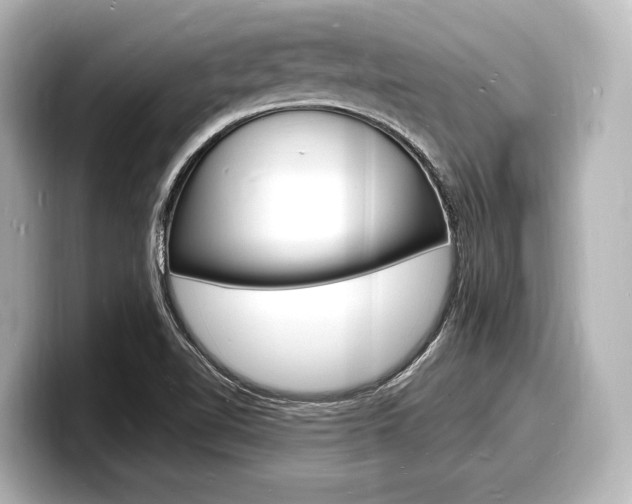 X0000098181510200804241019
