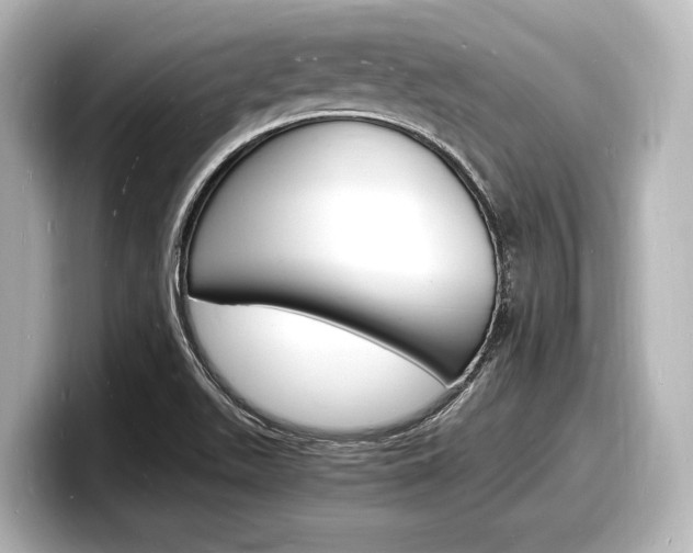 X0000098181511200804241019