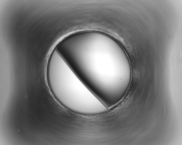X0000098181512200804241019