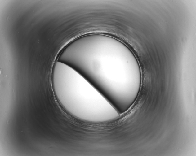 X0000098181513200804241019