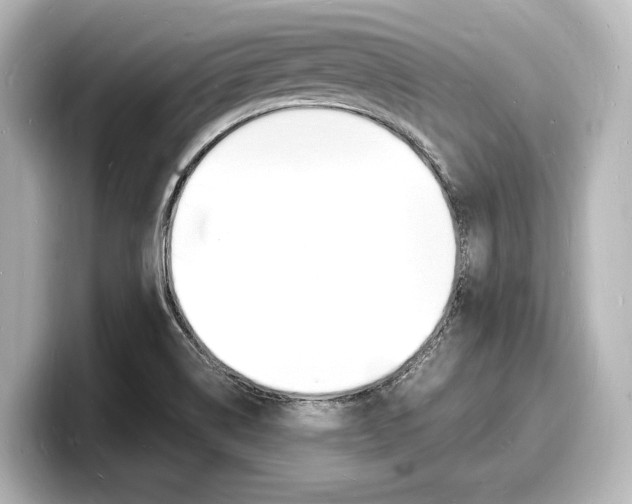 X0000098181514200804241019