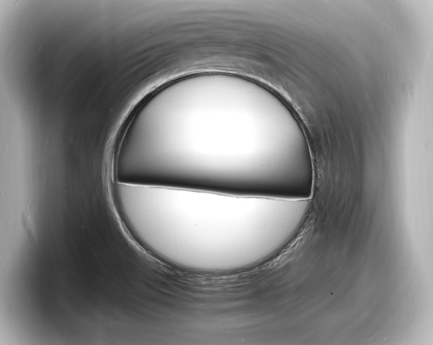 X0000098181515200804241020