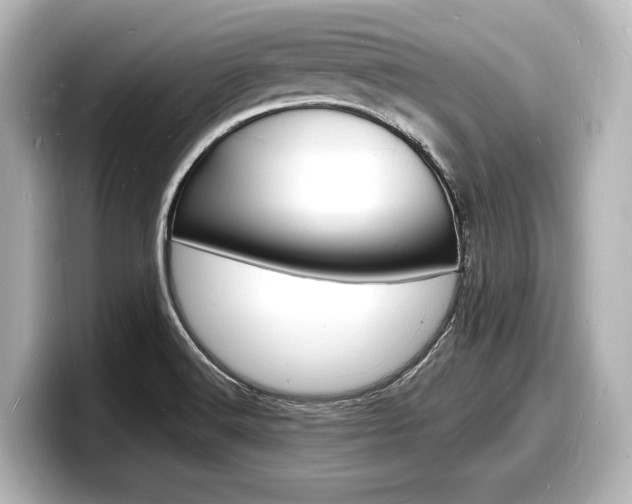 X0000098181516200804241020