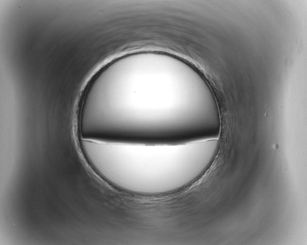 X0000098181518200804241020