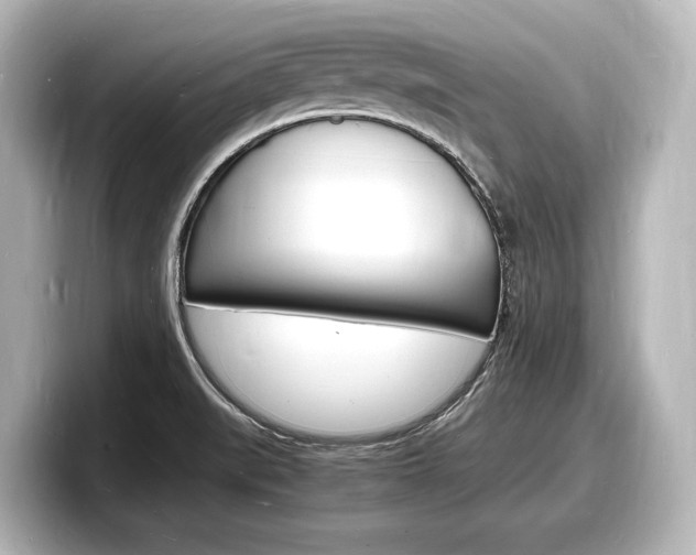 X0000098181519200804241020
