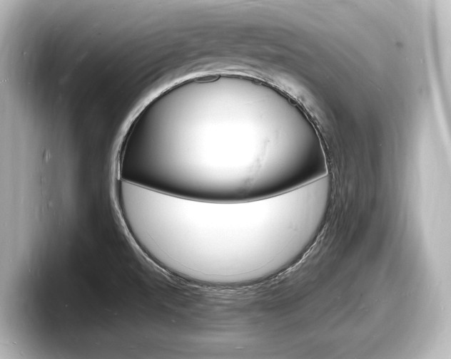 X0000098181520200804241020