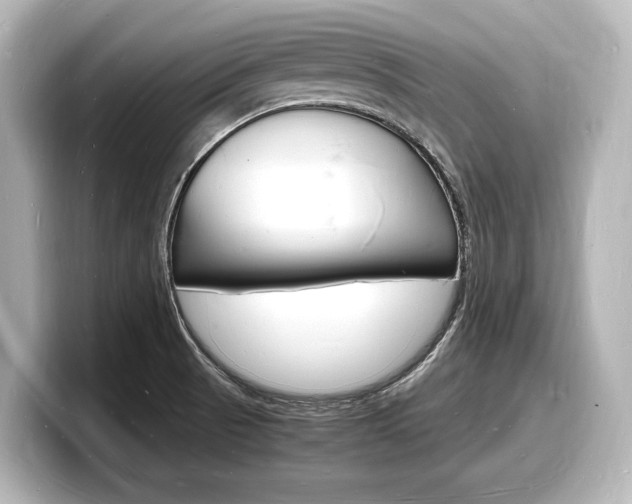 X0000098181521200804241020
