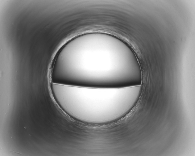 X0000098181522200804241020