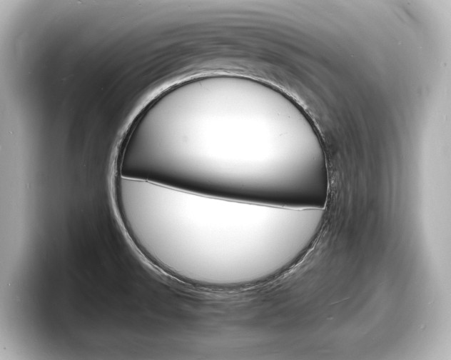 X0000098181523200804241020