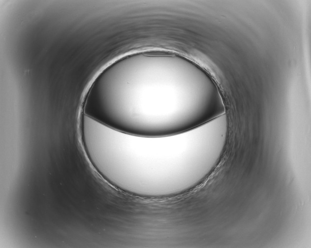 X0000098181524200804241020