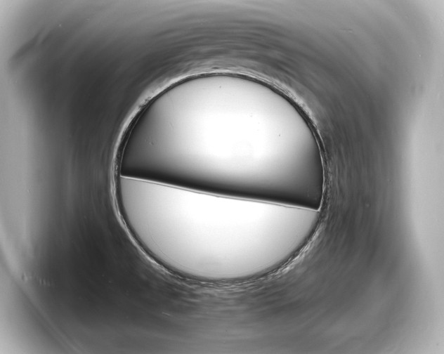 X0000098181525200804241020