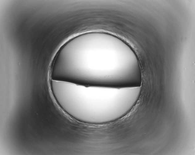 X0000098181526200804241020