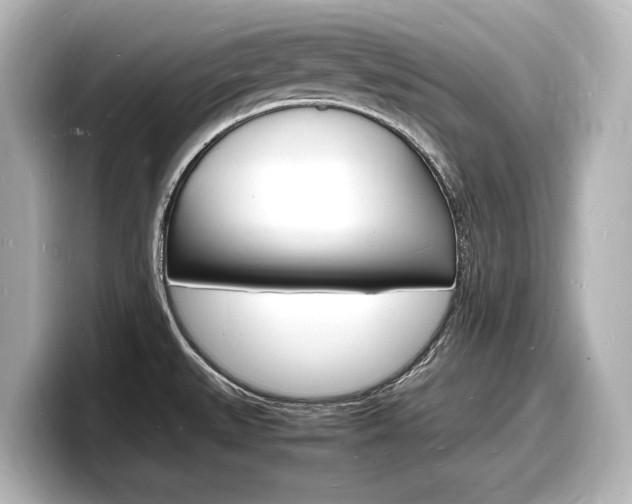 X0000098181527200804241020
