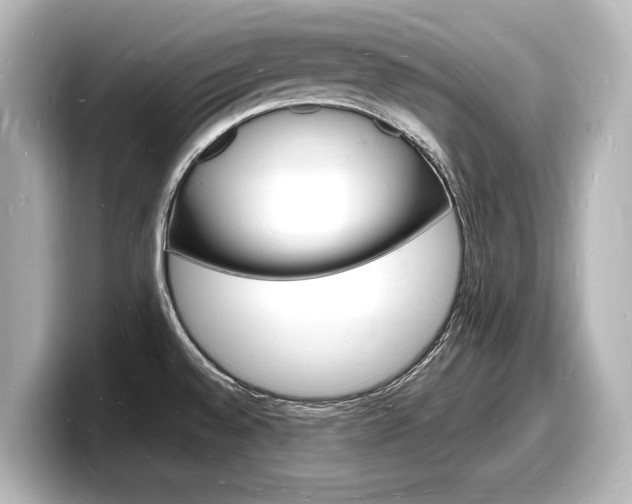 X0000098181528200804241020