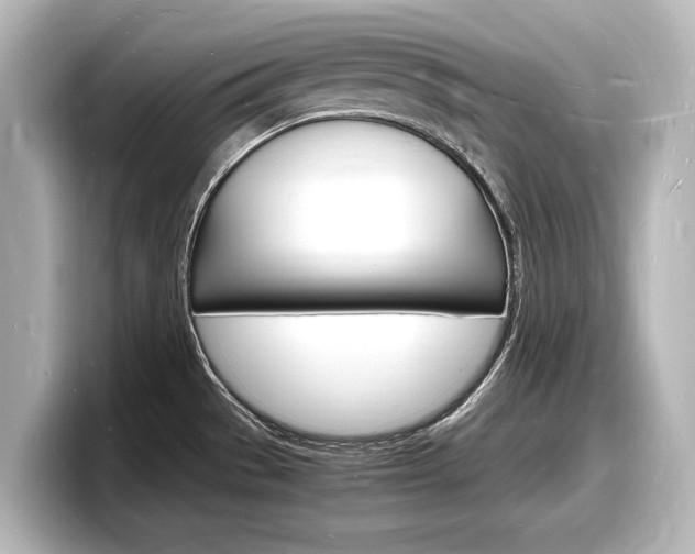 X0000098181529200804241020