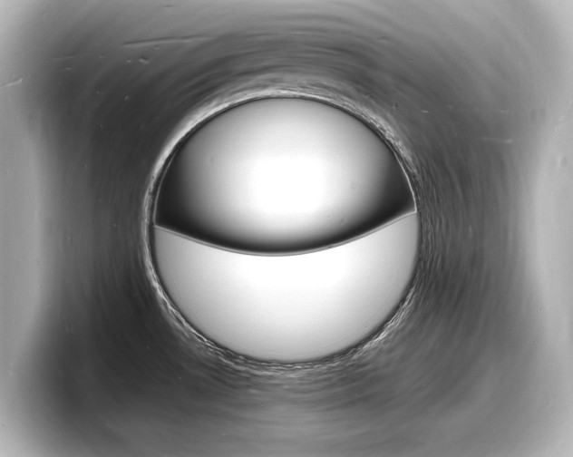 X0000098181530200804241020